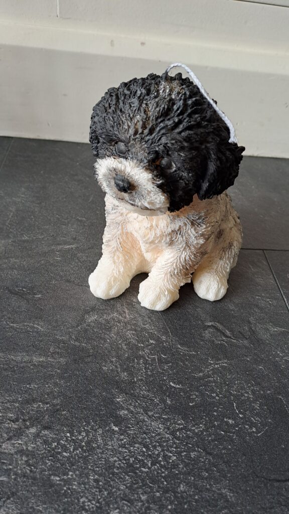 Hondenkaars Teddy xl - Afbeelding 11