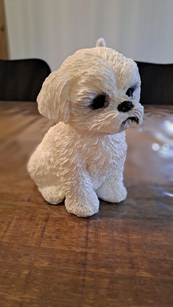 shih tzu kortharig/ Boomertje style kaars - Afbeelding 3