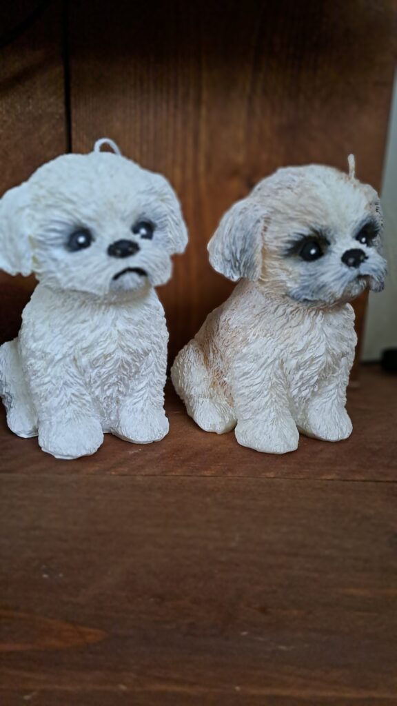 shih tzu kortharig/ Boomertje style kaars