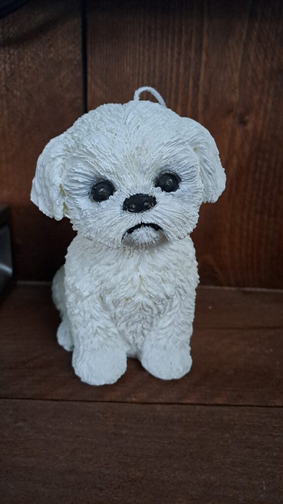 shih tzu kortharig/ Boomertje style kaars - Afbeelding 4