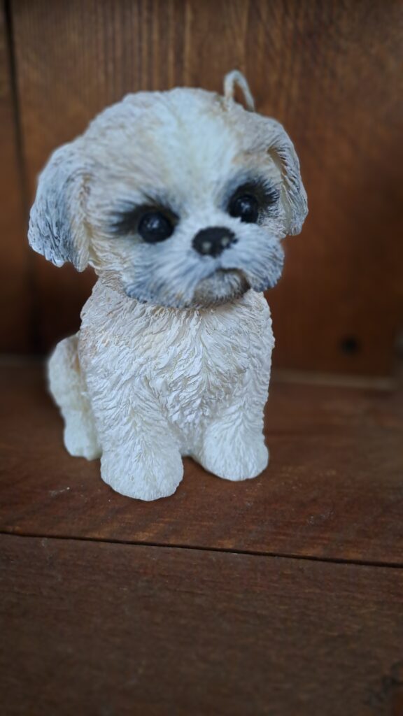 shih tzu kortharig/ Boomertje style kaars - Afbeelding 8