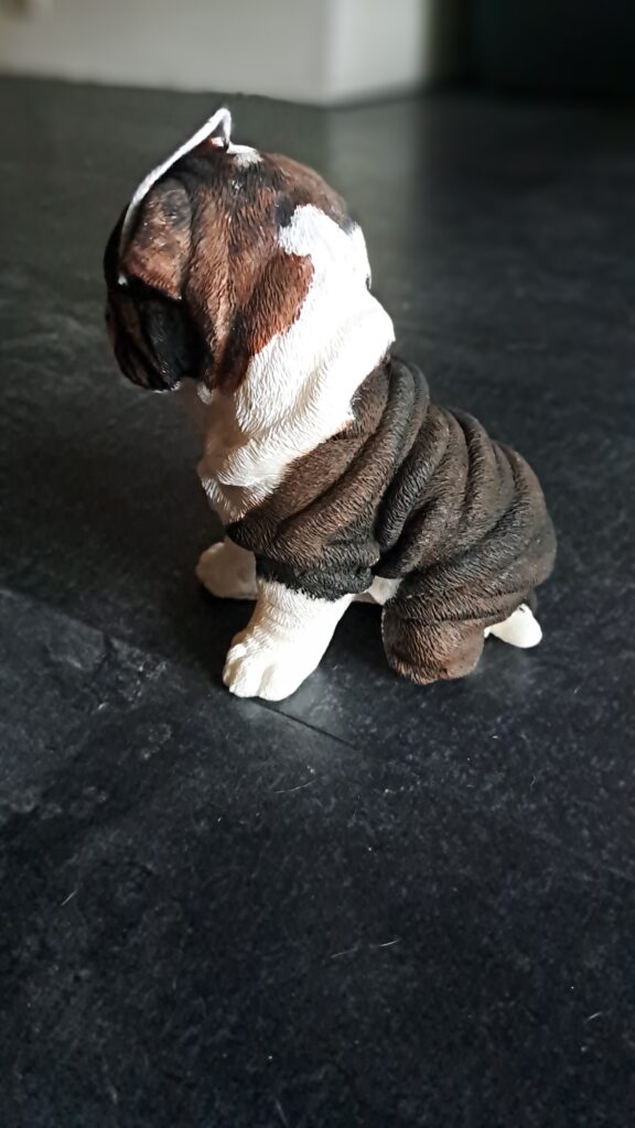 Sharpei Kaars - Afbeelding 5