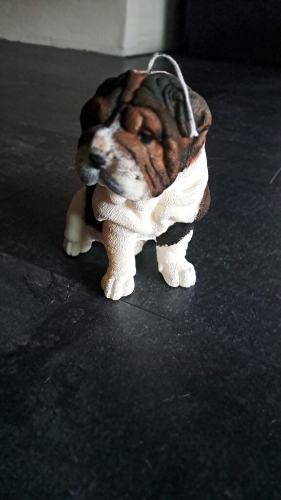Sharpei Kaars - Afbeelding 2