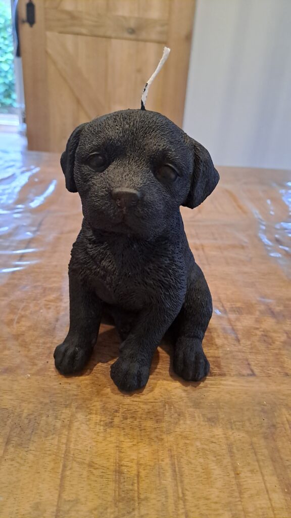 Labrador Retriever Style kaars groot
