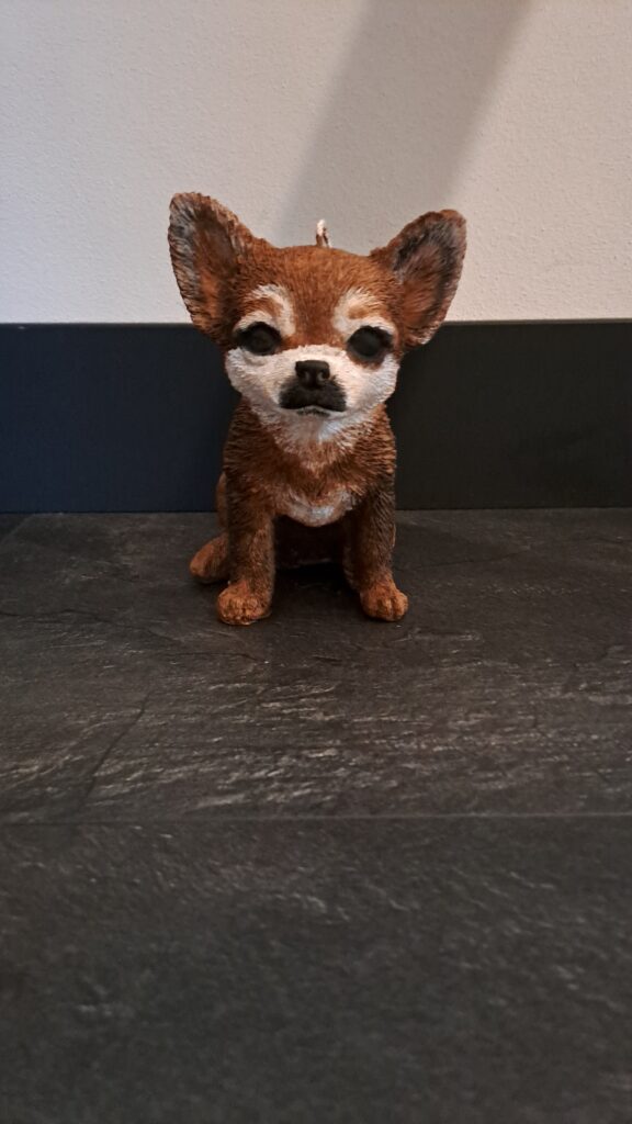 Chihuahua style kaars - Afbeelding 6