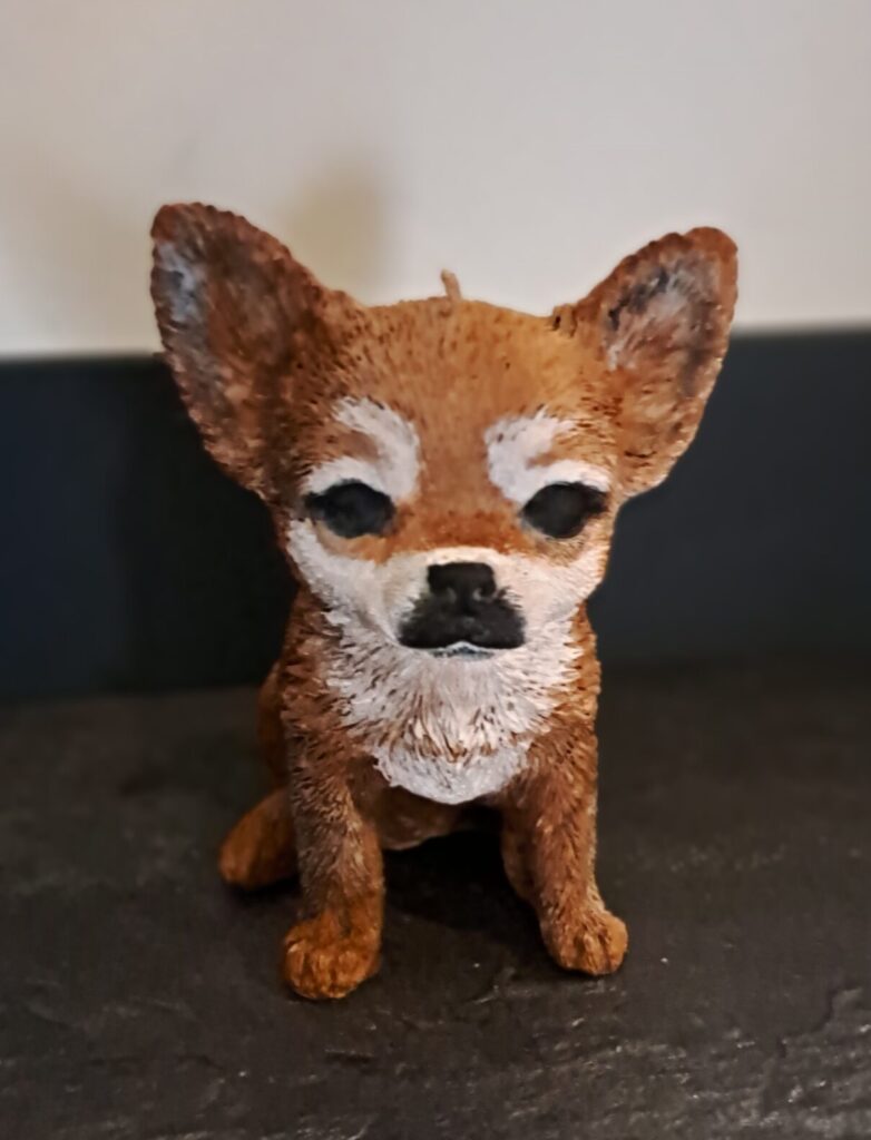 Chihuahua style kaars