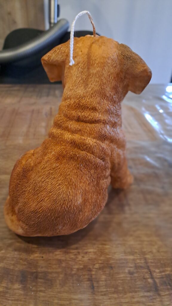 Boerboel Stylekaars - Afbeelding 2