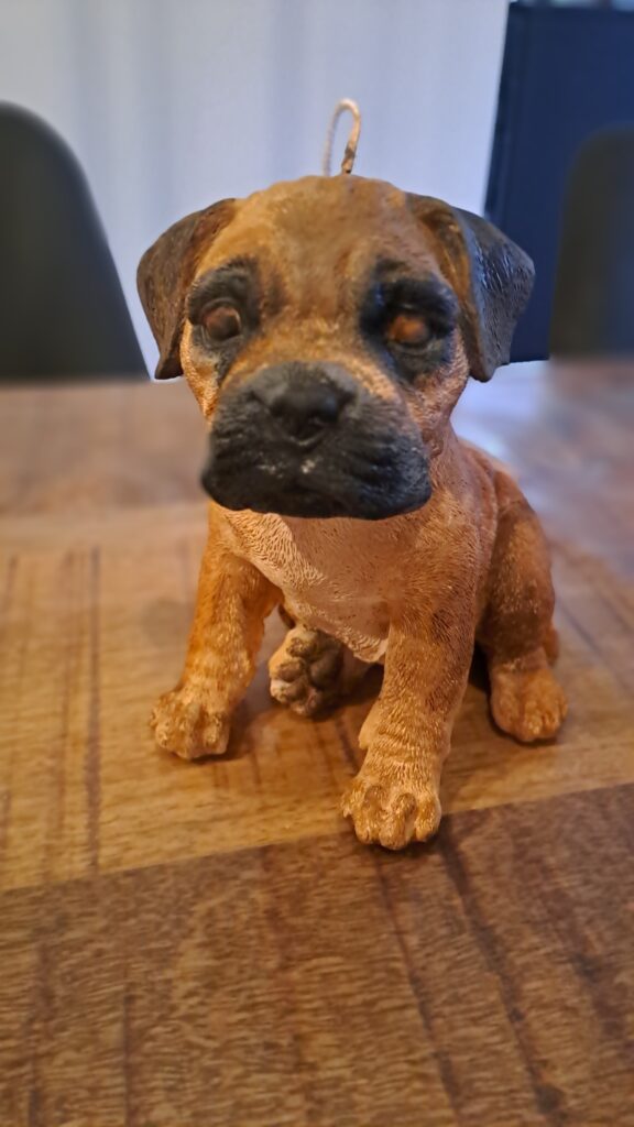 Boerboel Stylekaars - Afbeelding 4