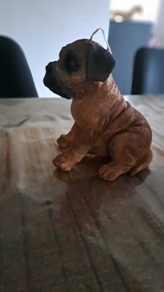 Boerboel Stylekaars - Afbeelding 6