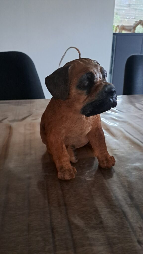 Boerboel Stylekaars - Afbeelding 9
