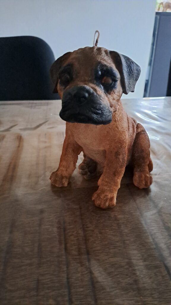 Boerboel Stylekaars