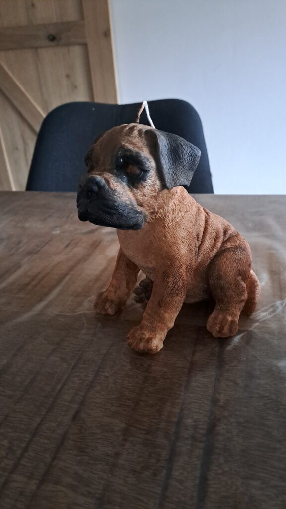 Boerboel Stylekaars - Afbeelding 11