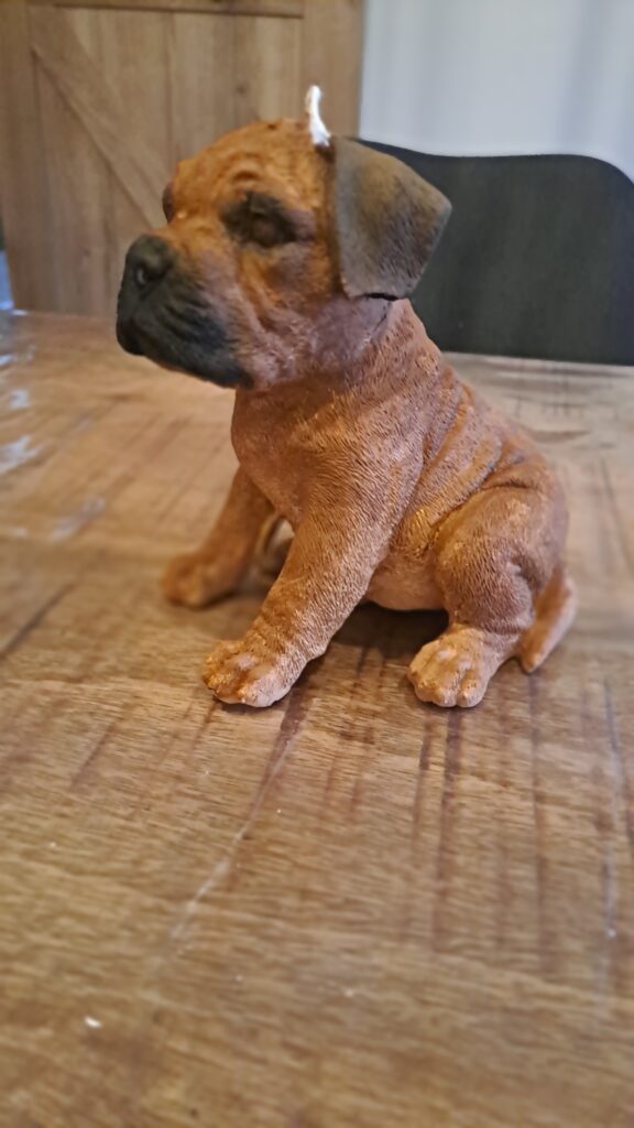 Boerboel Stylekaars - Afbeelding 12