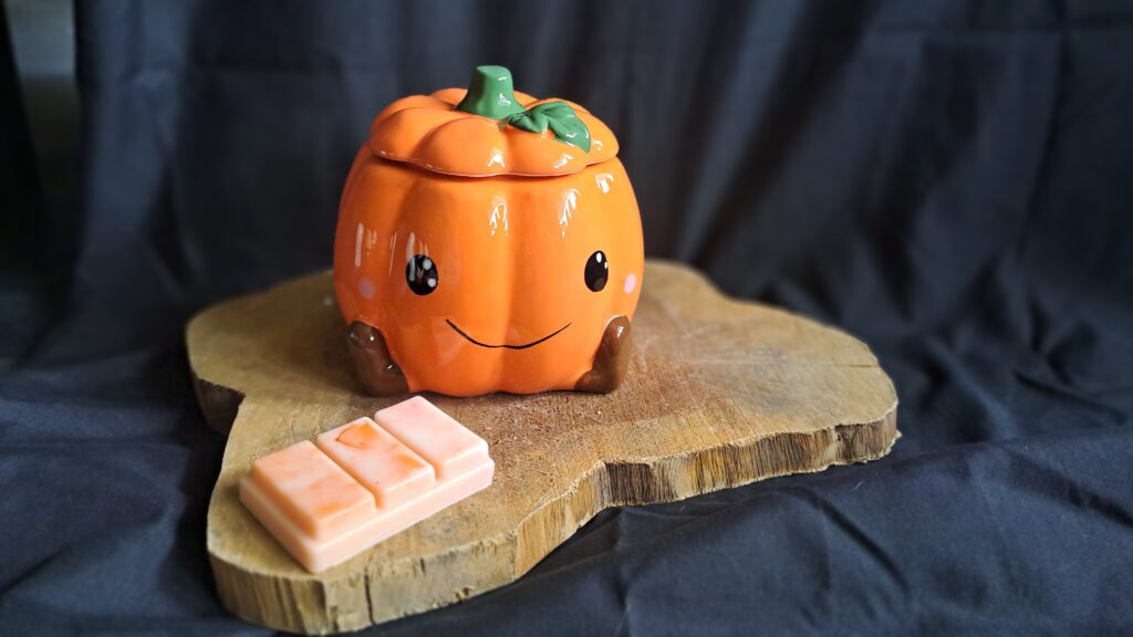 Waxmeltbrander Pompoen/ Pumpkin - Afbeelding 3