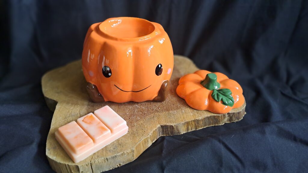 Waxmeltbrander Pompoen/ Pumpkin - Afbeelding 4