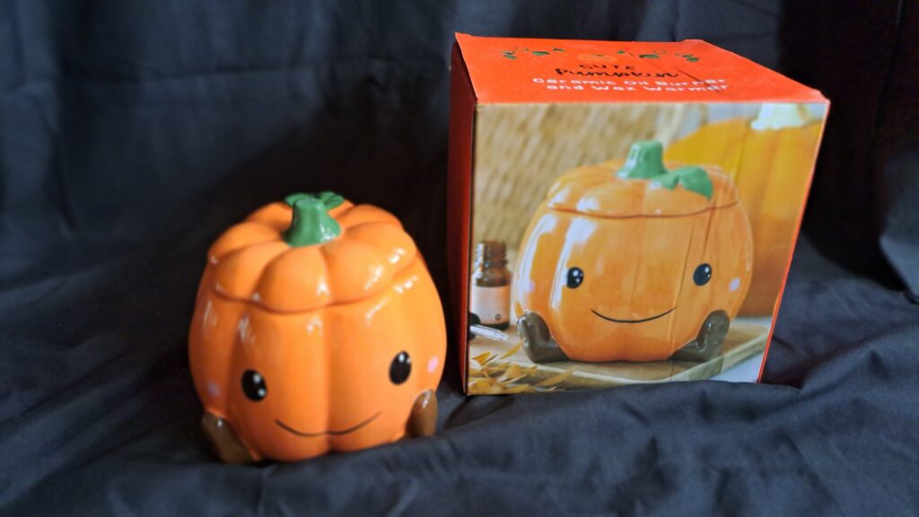 Waxmeltbrander Pompoen/ Pumpkin - Afbeelding 5