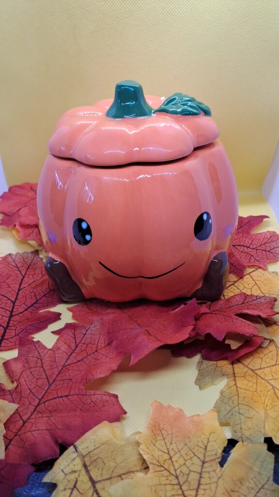 Waxmeltbrander Pompoen/ Pumpkin - Afbeelding 6