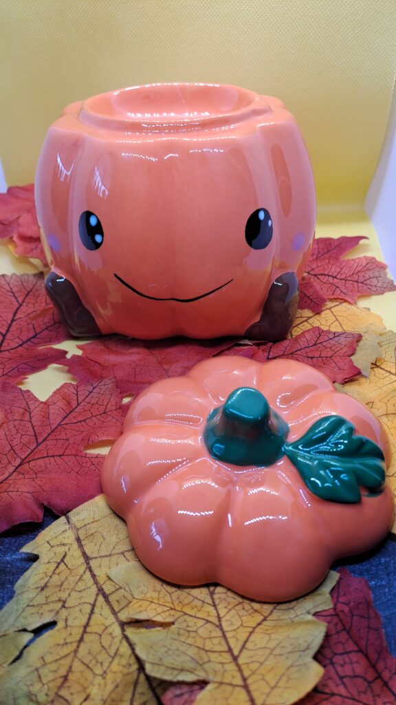 Waxmeltbrander Pompoen/ Pumpkin - Afbeelding 7