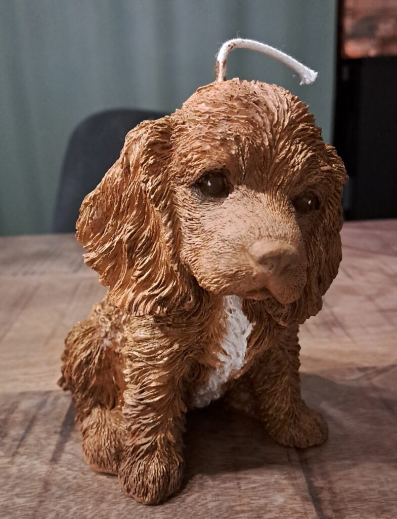 Cocker Spaniel Kaars -candle – handgemaakt -koolzaadwas