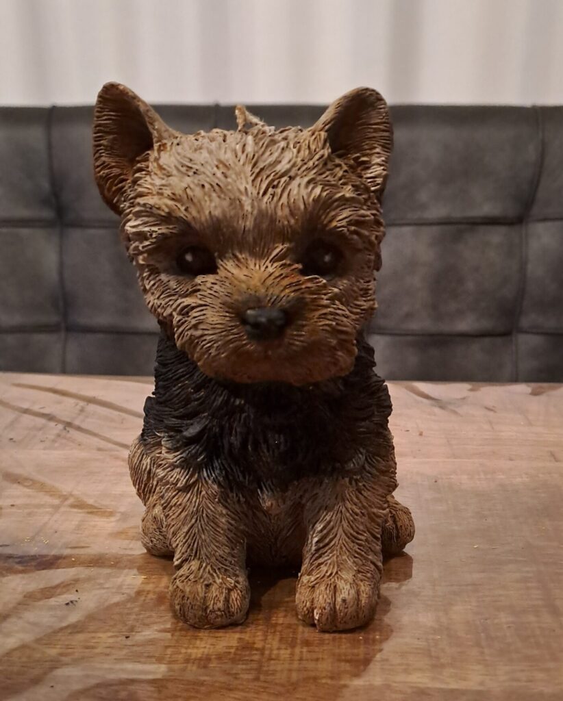 Yorkshire Terrier Kaars
