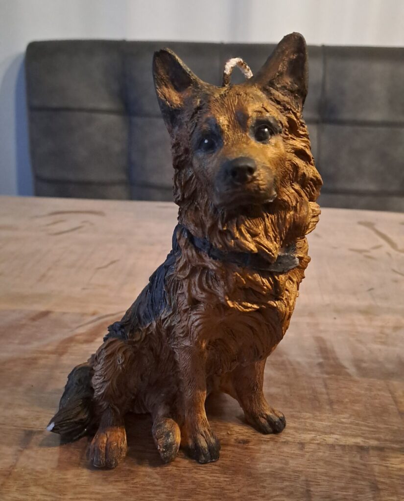 Duitse Herder kaars groot